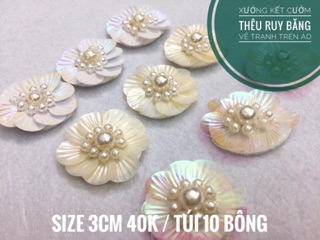HOA KIM SA 3cm