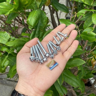 Bộ ốc lốc máy 11 con Salaya cho các dòng xe Vario,Ab125,Sh mode...