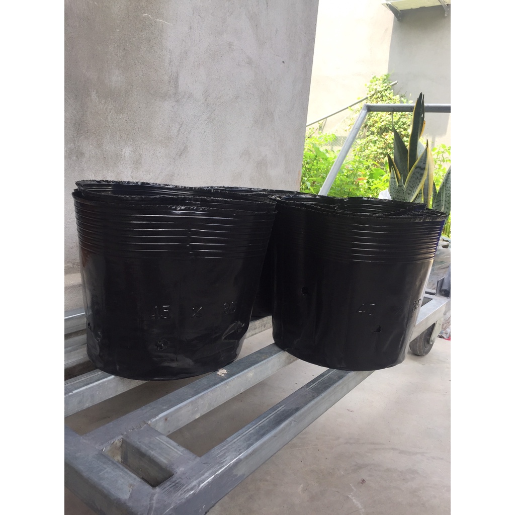 BẦU ƯƠM CÂY 45*35 ( DỊCH TRUYỀN CHO CÂY, KÍCH RỄ , MẦM CÂY XANH LÁ, LƯỚI CHE NẮNG...)