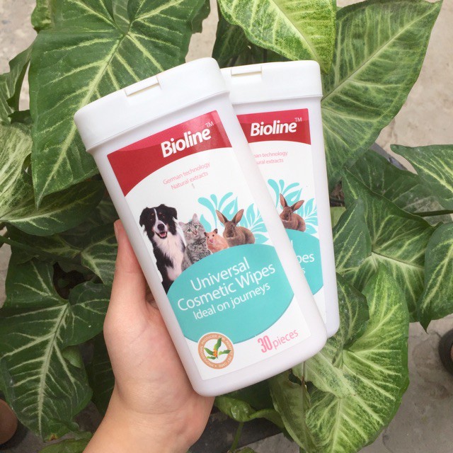 Khăn lau ố mắt -Bioline cho chó mèo -HỘP 30 miếng
