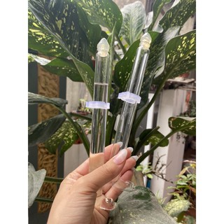 Cóng thuỷ tinh cho chào mào (khuyên) dùng cho chim uống nước