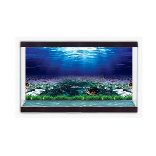 TRANH DECAL 3D DÁN HỒ CÁ CẢNH_NÀNG THƠ DECORATE