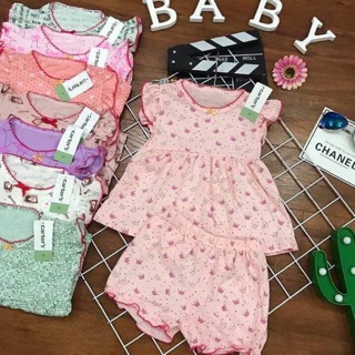 Combo sỉ bộ cotton bozip