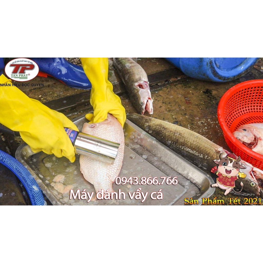 Máy đánh vẩy cá diêu hồng, cá rô phi, cá lóc loại cầm tay tiện dụng