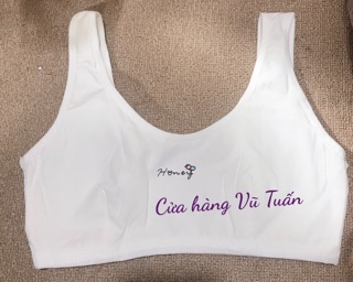 áo lá bản học sinh cotton