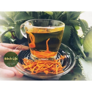 Đông Trùng Hạ Thảo - Sấy Thăng Hoa