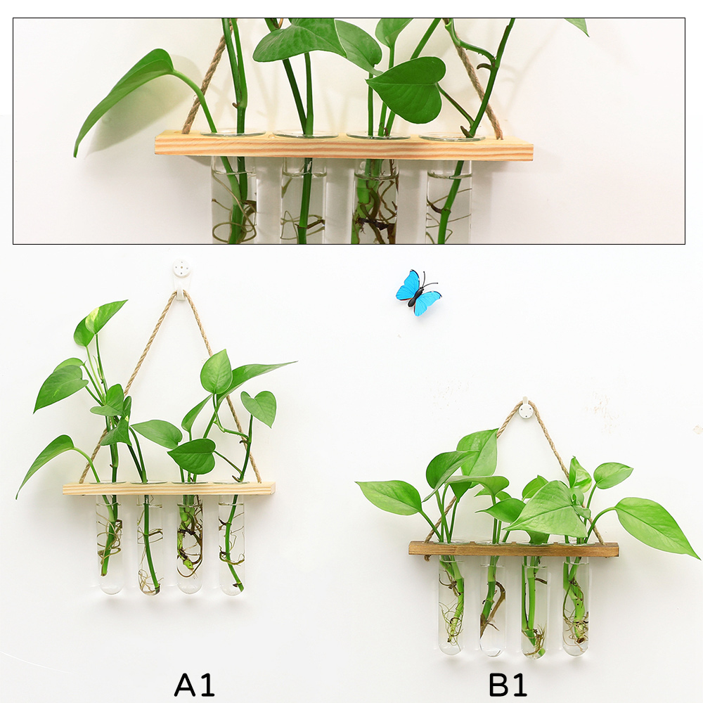 1 Chậu Kính Trồng Cây Treo Tường Kèm 4 Ống Nghiệm