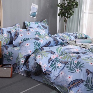 SET POLY NHẬP