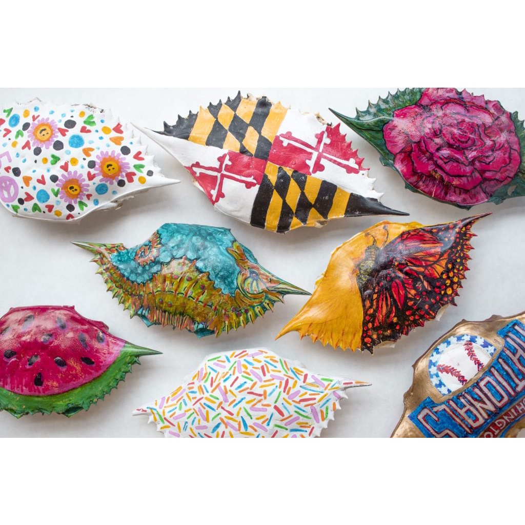 Vỏ ghẹ khô 10 cai