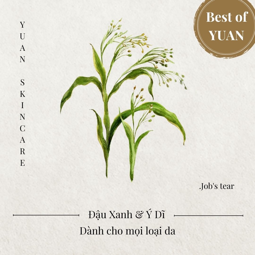 Xà phòng cấp ẩm dưỡng sáng dành cho da khô sạm màu YUAN Đài Loan Đậu Xanh và Ý Dĩ Mung Bean Brightening Soap - 18g