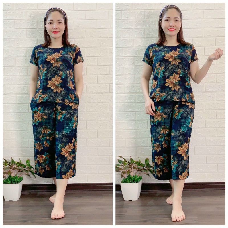 Bộ Lanh Đại Sớ Lửng
