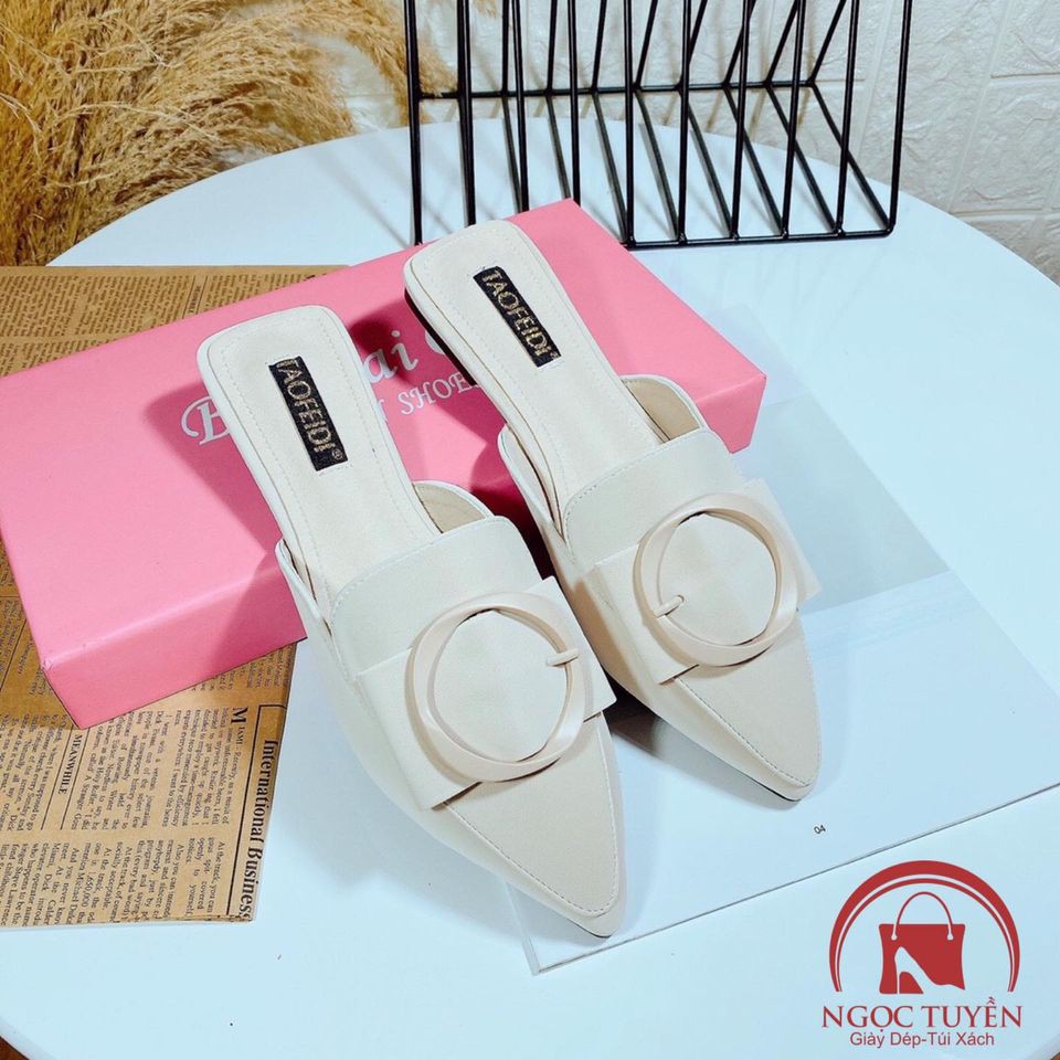 DÉP GUỐC SỤC TAOFEIDI