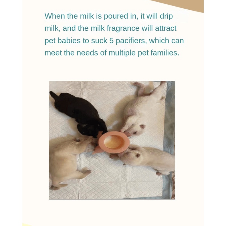 Tô silicone Cho Thú Cưng Uống Sữa Tiện Dụng