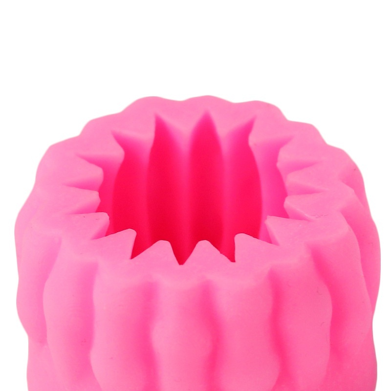 Khuôn Silicon Làm Đồ Trang Sức Hình Cây Xương Rồng