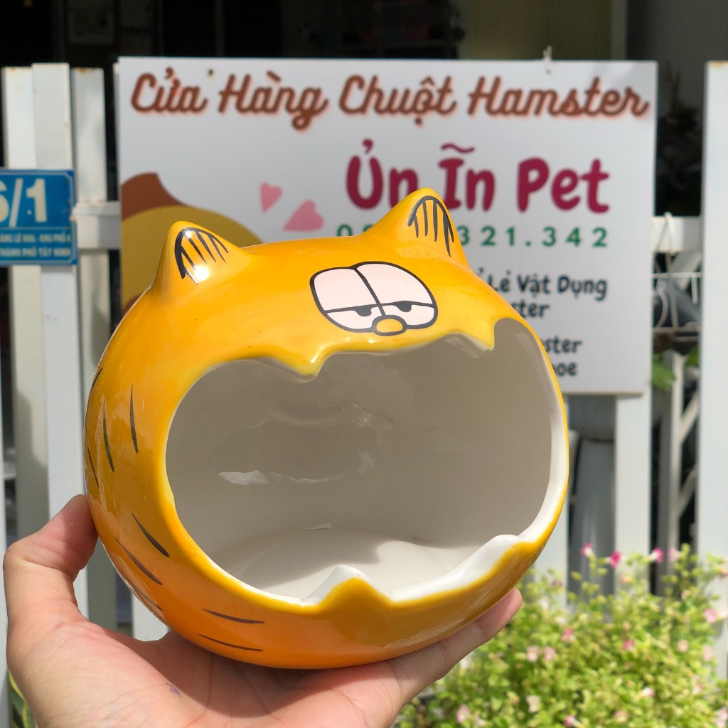Nhà ngủ sứ hamster, MÈO VÀNG MƠ MÀNG NGỐC NGHẾCH