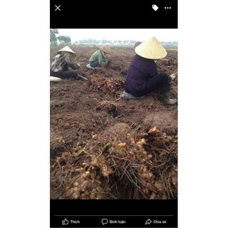 TINH BỘT NGHỆ ĐỎ NGUYÊN CHẤT HANDMAD