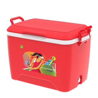 Thùng đá Duy Tân 85L