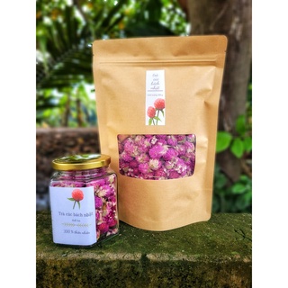 Trà cúc bách nhật _ Tĩnh trà