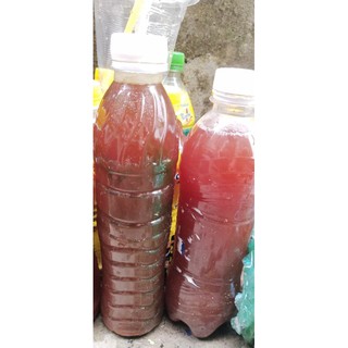 Vi Sinh PSB - Vi sinh cho cá tép cảnh thủy sinh khỏe cá