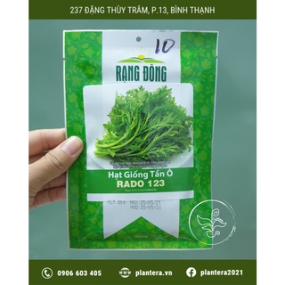 Hạt giống tần ô rado 123 20g - hạt giống - rau ăn lá