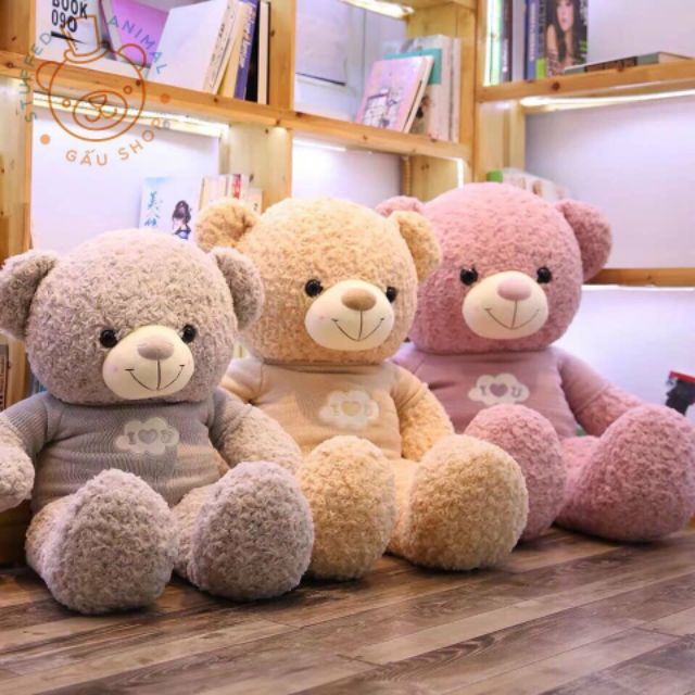 Gấu bông Teddy áo len màu phấn lông xoắn hoa hồng cao cấp