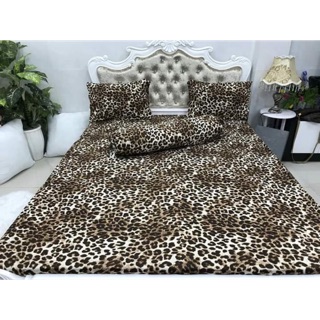 Bộ drap thun hàn quốc