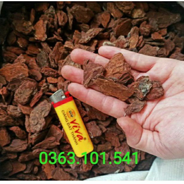 Vỏ Thông Trồng Lan Size 2-3cm Túi 1kg