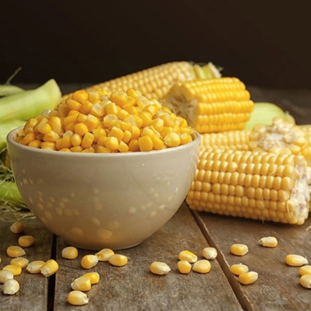 Ngô hộp ngọt nguyên hạt chuyên dùng để làm món ngô chiên
