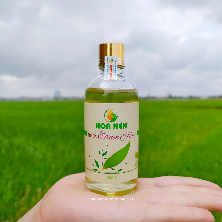 Tinh Dầu Tràm Huế Nguyên Chất 100ml - Tinh dầu tràm giúp giữ ấm, xông phòng hiệu quả