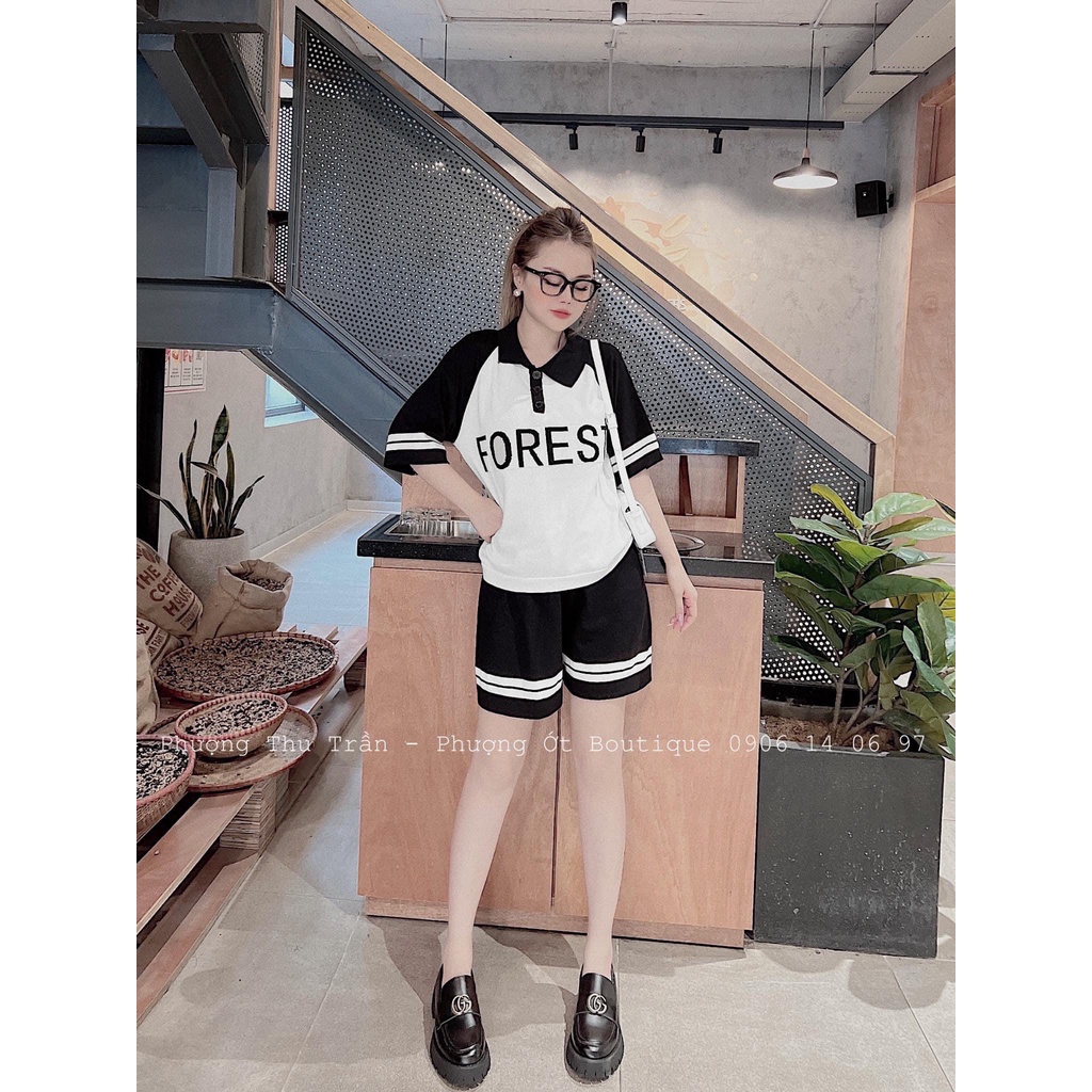 Bộ đùi len tăm FOREST cổ sơ mi quần short đùi DN135