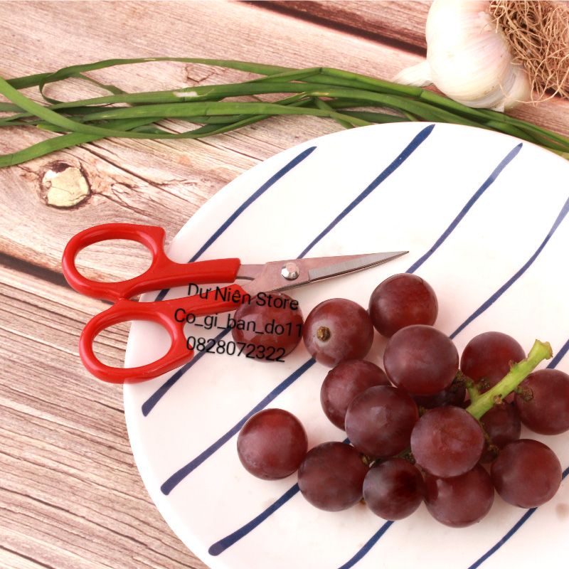 Kéo Mũi Cong Hiệu PIN