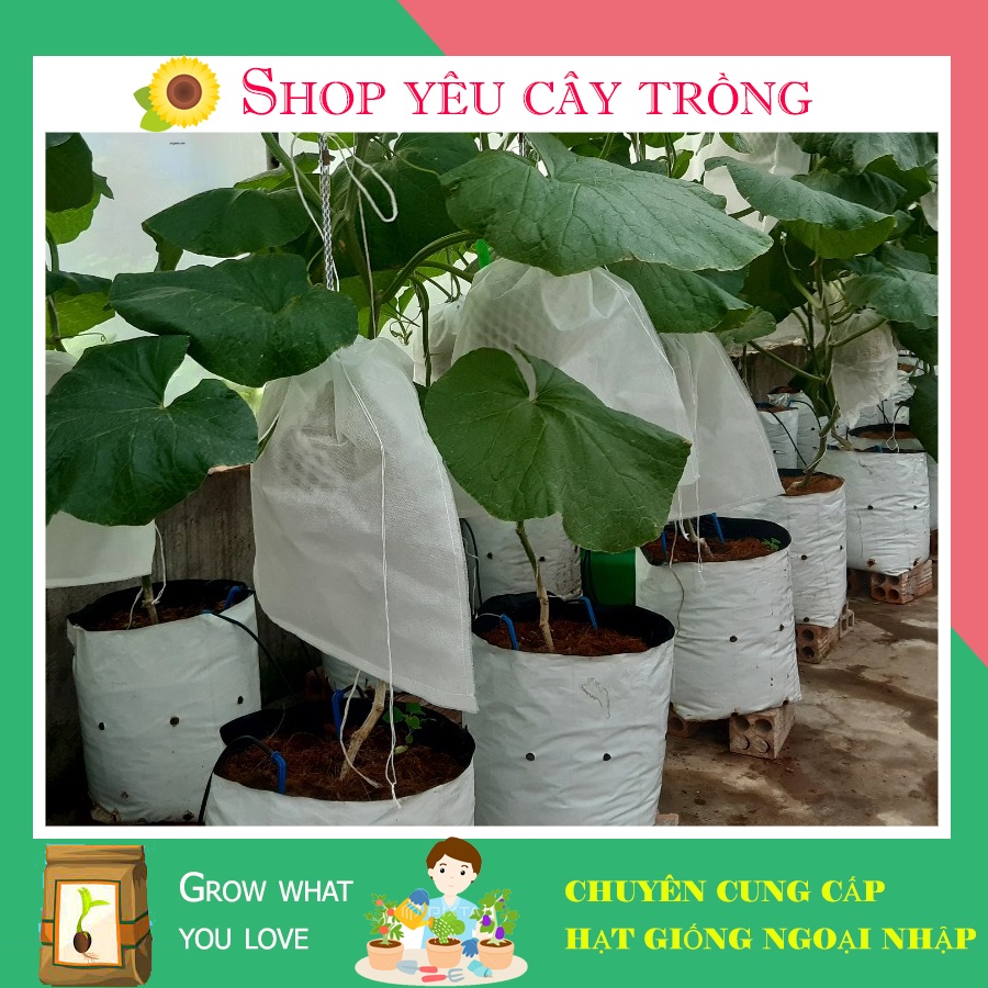 50 Túi bọc trái bọc bưởi, dưa lưới, túi bọc trái cây  size 30x35cm