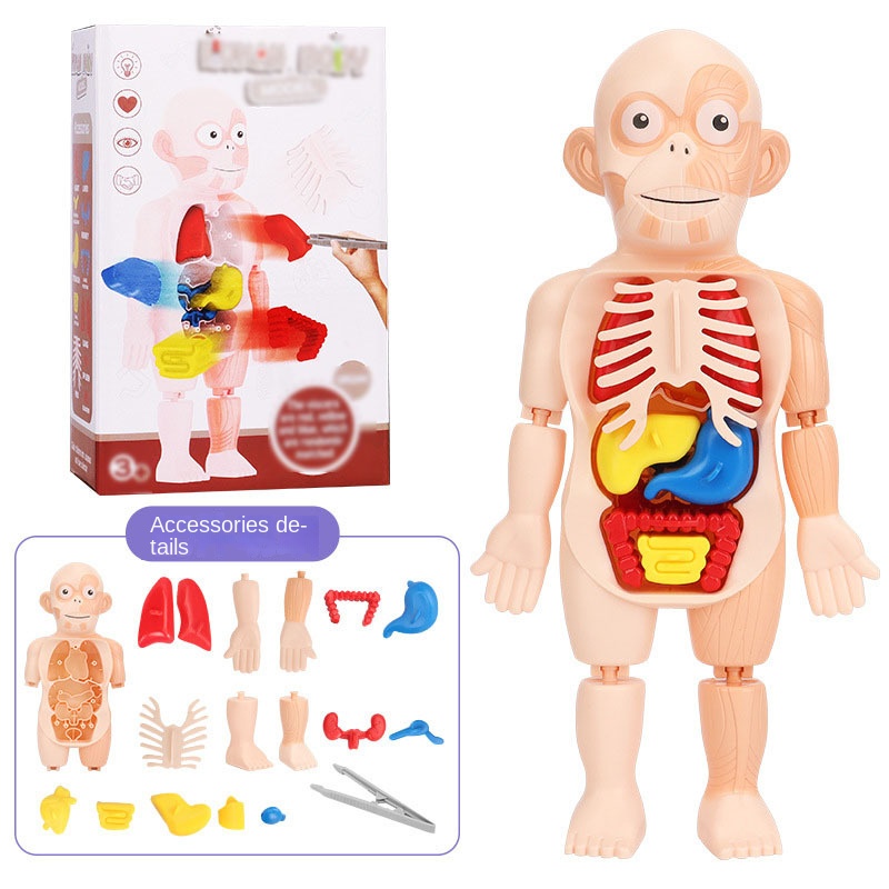 Mô Hình Đàn organ DIY Đồ Chơi Cho Bé GYLMY386