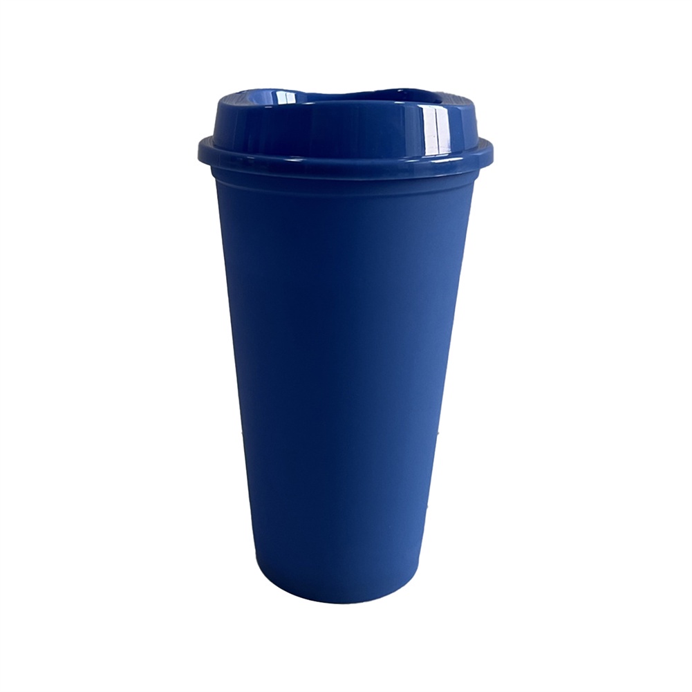 Có Thể Tái Sử Dụng Starbucks Tumbler Hoa Anh Đào Cốc Xoay Starbucks Ống Hút Cốc Gấp Gọn 290Ml FATE1