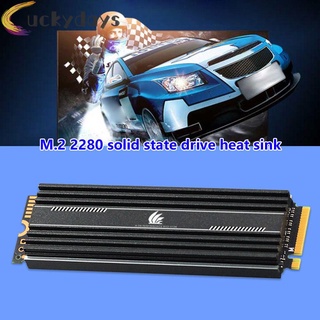 LUCKYDAYS M.2 SSD Heatsink Cooler M2 2280 Solid State Hard Disk Radiator Thermal Pad