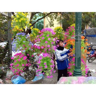Combo 5 bộ Hoa Giấy Lụa
