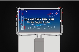 IN OUT THUỶ TINH LỌC VÁNG