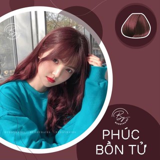 Thuốc nhuộm tóc Phúc bồn tử không tẩy buddyhairs