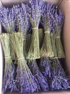 Combo 20 túi thơm mùi hoa lavender(sỉ 9k)