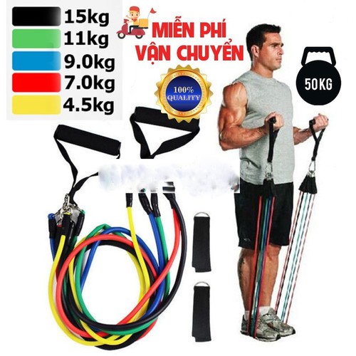 BỘ 5 DÂY NGŨ SẮC TẬP GYM ĐÀN HỒI Chính Hãng