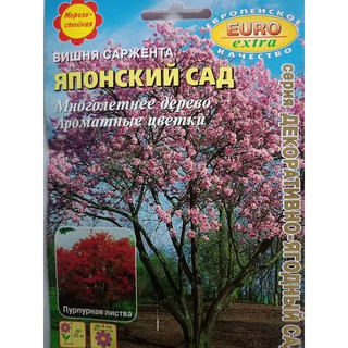 Hạt giống cây hoa Anh Đào