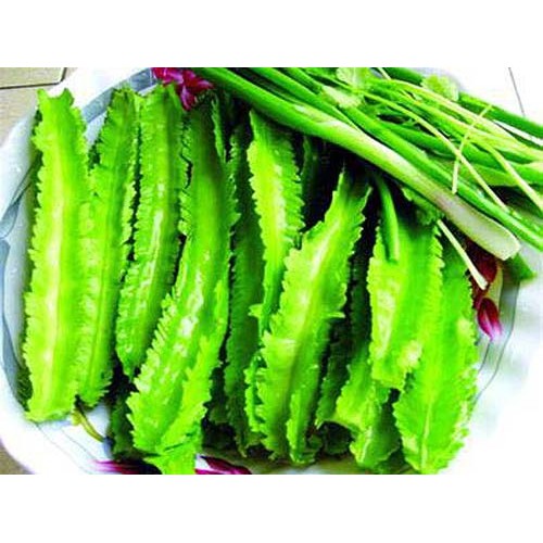 Hạt Giống Đậu Rồng/ Đậu Khế (10 Gr) - Dễ Trồng,Giòn, Dinh Dưỡng Cao - MUA 3 TẶNG 1 CÙNG LOẠI