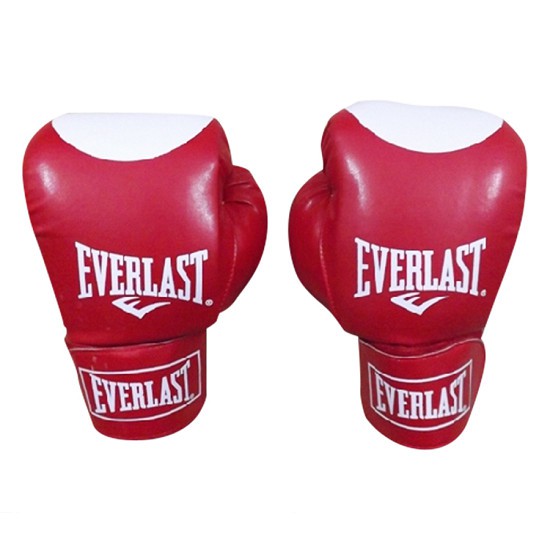 Găng đấm boxing Everlast 12oz (đỏ), dụng cụ thể thao binhansport