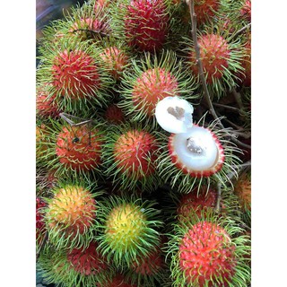 [HCM- BÌNH THẠNH] - Chôm chôm (ảnh thật)