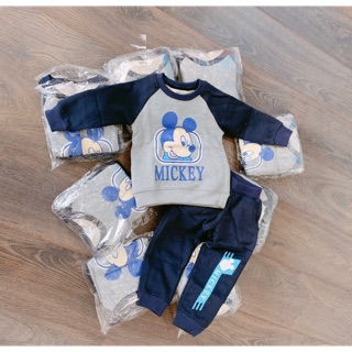 Nỉ mickey da cá HM