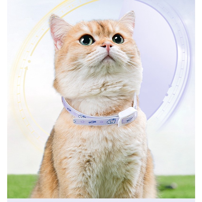 vòng cổ ngăn ngừa ve rận họa tiết dành cho chó mèo