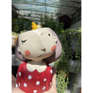 Chậu cây kute chậu đã gồm cây 100k