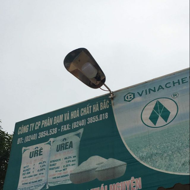 Chóa đèn đường