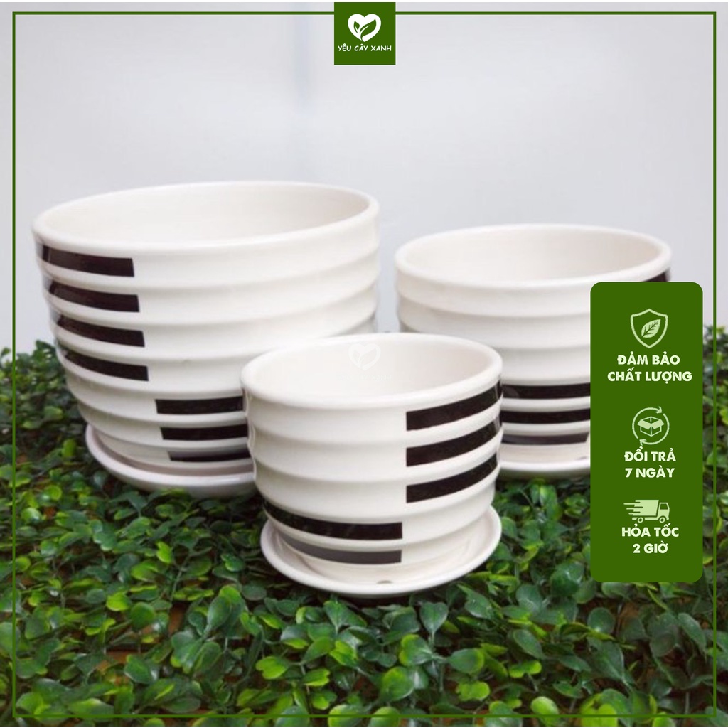 Chậu Sứ Có Đĩa Lót 3 Size mẫu chậu ngẫu nhiên.