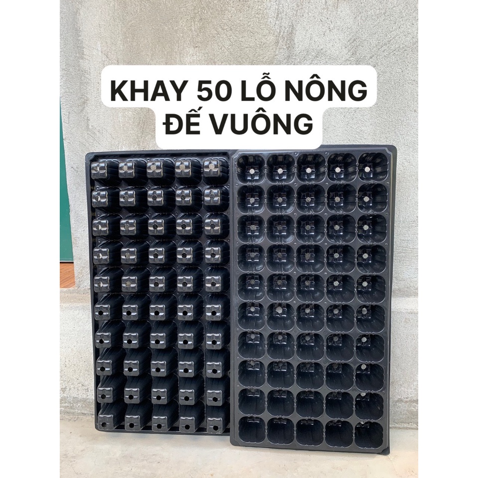 5 KHAY ƯƠM 50 LỖ NÔNG ĐẾ VUÔNG ( BẠT CHỐNG CỎ, LƯỚI CHỐNG NẮNG, DỊCH TRUYỀN CHO CÂY...)